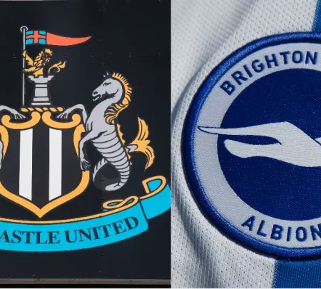 Newcastle United v Brighton & Hove Albion Match Preview