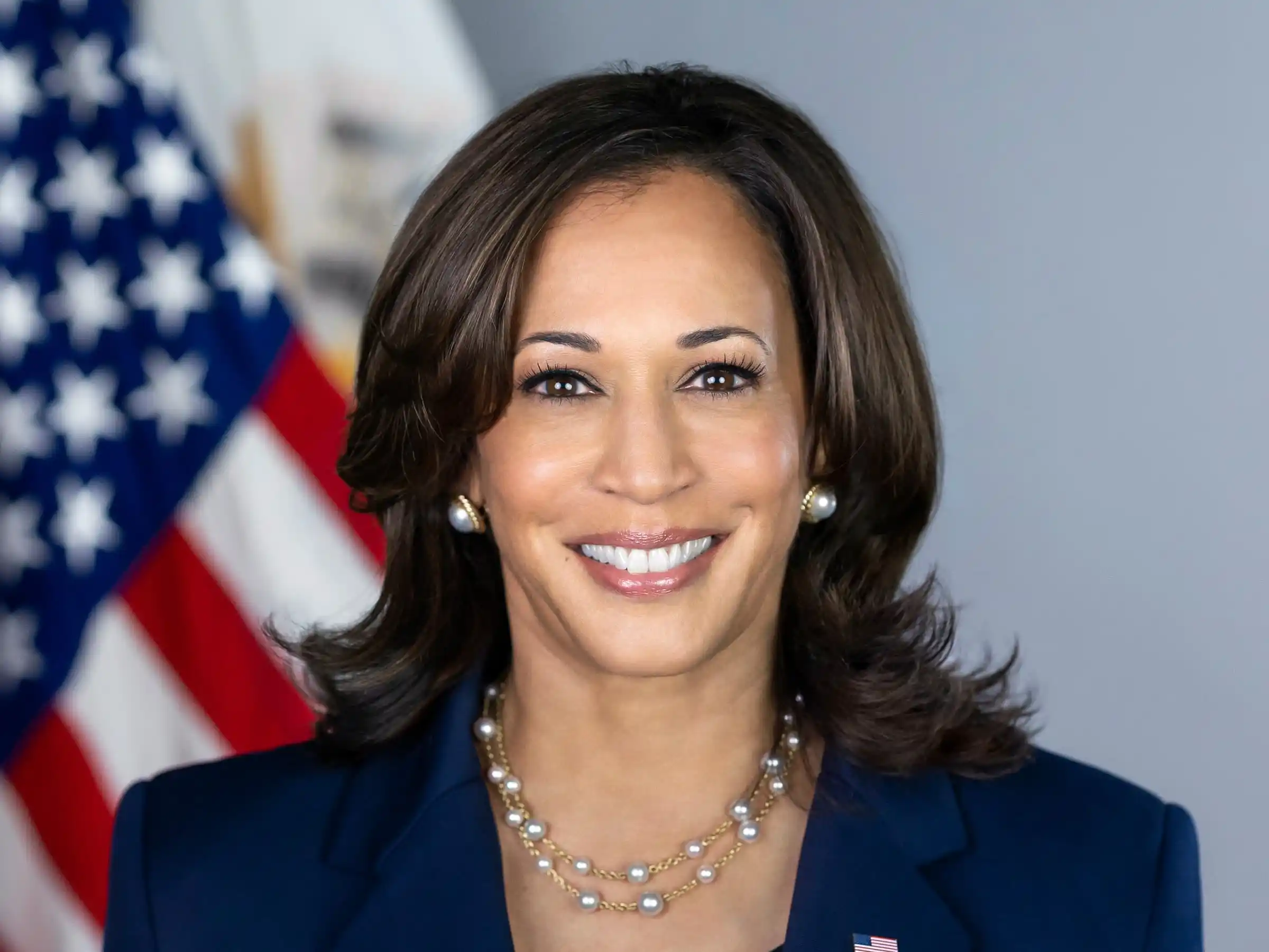 Kamala Harris 2024 Odds Noemi Angeline