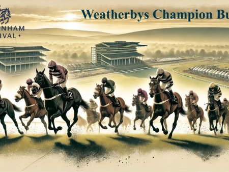 Cheltenham Festival 2025: Weatherbys Champion Bumper Preview