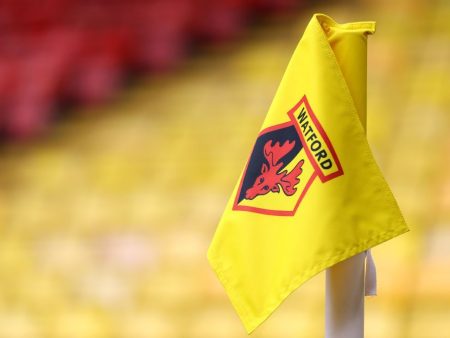 Next Watford Manager Odds: Who will replace Tom Cleverley at Vicarage Road?